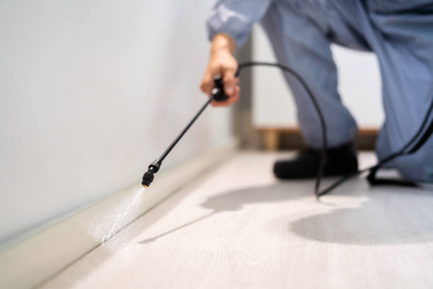 Licensed Mosquito Control service in DeForest, WI - Show Me Pest Control