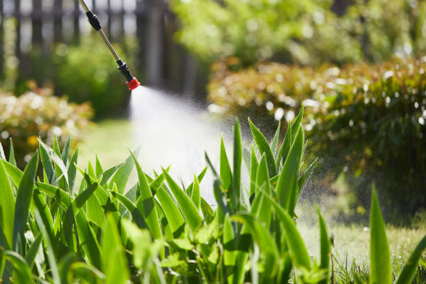 24/7 Emergency Mosquito Control experts in DeForest, WI