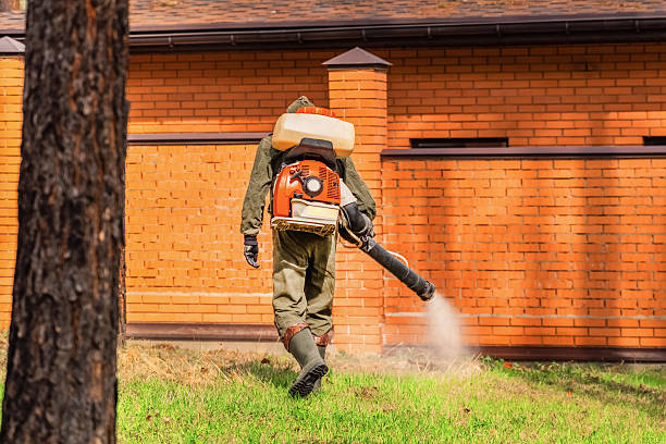 Top rated local Mosquito Control specialists in DeForest, WI